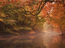 IMGP3826-Moelledammen-med-dis